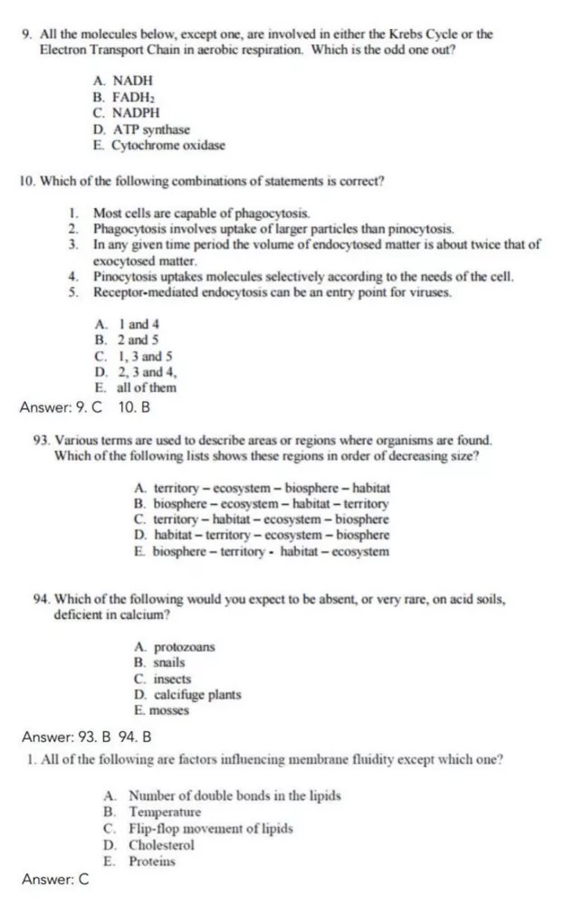Biology Olympiad 2024 Exam Date Minda Sybilla