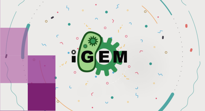 国际基因工程机器大赛 iGEM