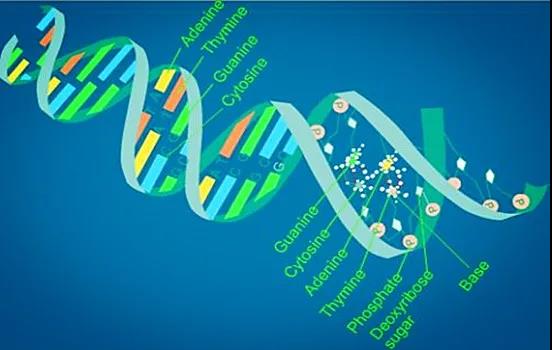 生物化学科学