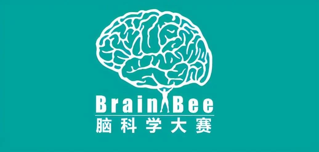 Brain Bee脑科学活动