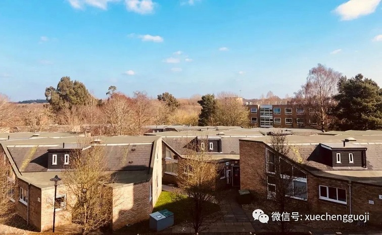 华威大学