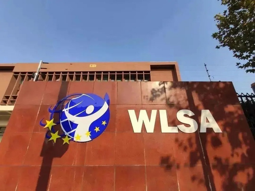 WLSA【2021秋招考情回顾】