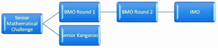 BMO原参赛流程