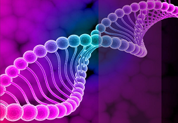 IBDP科目全解析之理科篇-IB生物学课程大纲以及评估模式介绍