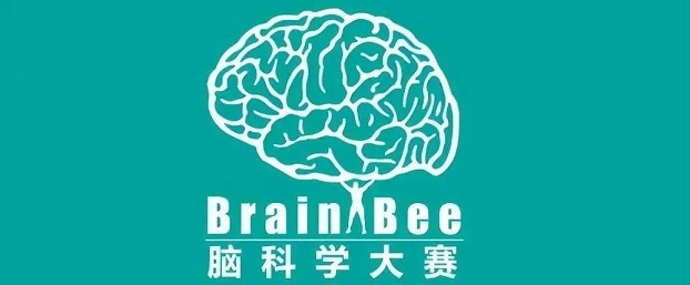 Brain Bee脑科学竞赛