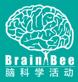 Brain Bee