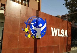 2023年WLSA上海学校秋招考情回顾