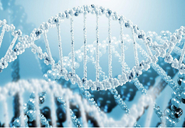 目标医学、生物学的同学注意！美国生物奥林匹克USABO报名即将截止啦！！！