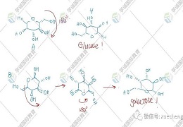 名师点评！2023年UKChO竞赛真题解析